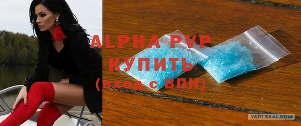 индика Бронницы