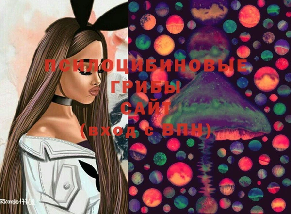 МДПВ Володарск