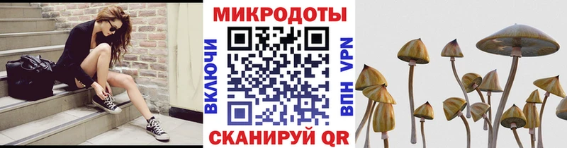 Галлюциногенные грибы MAGIC MUSHROOMS  где найти наркотики  Жигулёвск 